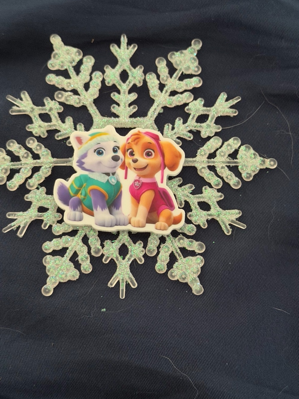 Paw Patrol Pink & Teal Skye and Everest Dog ornament